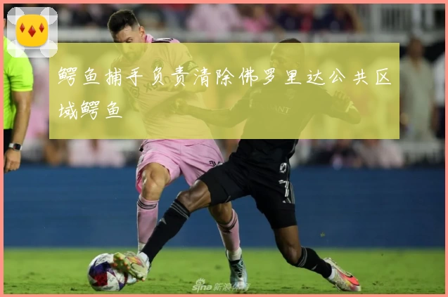 鳄鱼捕手负责清除佛罗里达公共区域鳄鱼