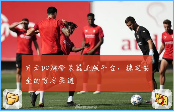 开云pc端登录器正版平台，稳定安全的官方渠道