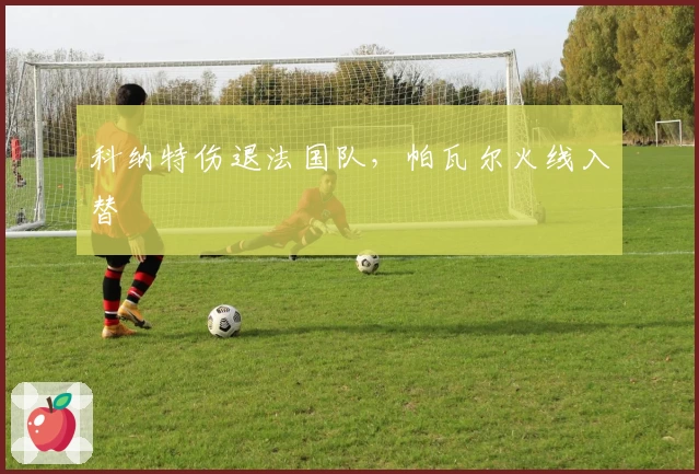 科纳特伤退法国队，帕瓦尔火线入替